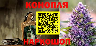 ECSTASY Гатчина