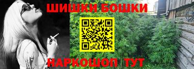 спайс Гай