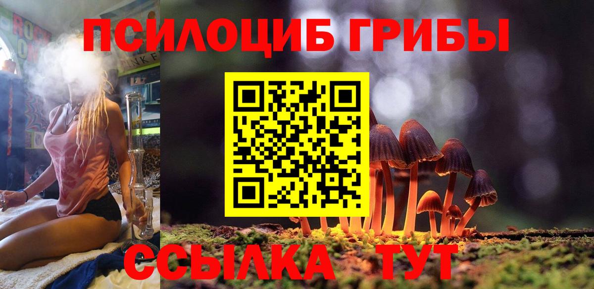 Псилоцибиновые грибы GOLDEN TEACHER  Вход с VPN  Кизляр 